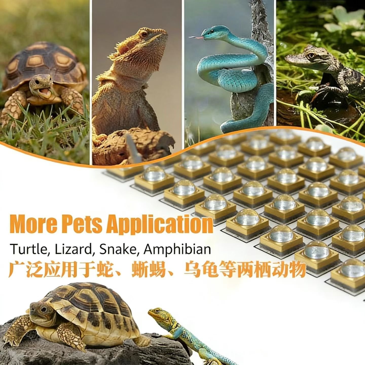 Supplied application artwork showing reptile lighting contexts and UV LED packages